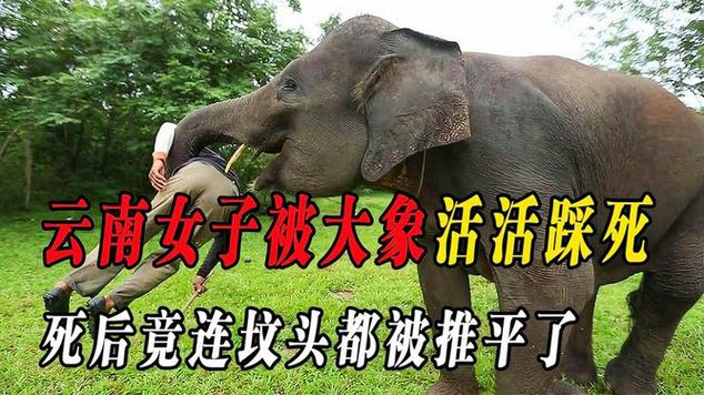 大象找活平台