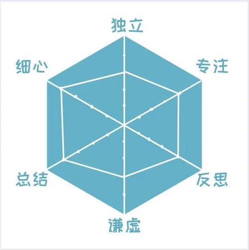六边形战士 六边形战士