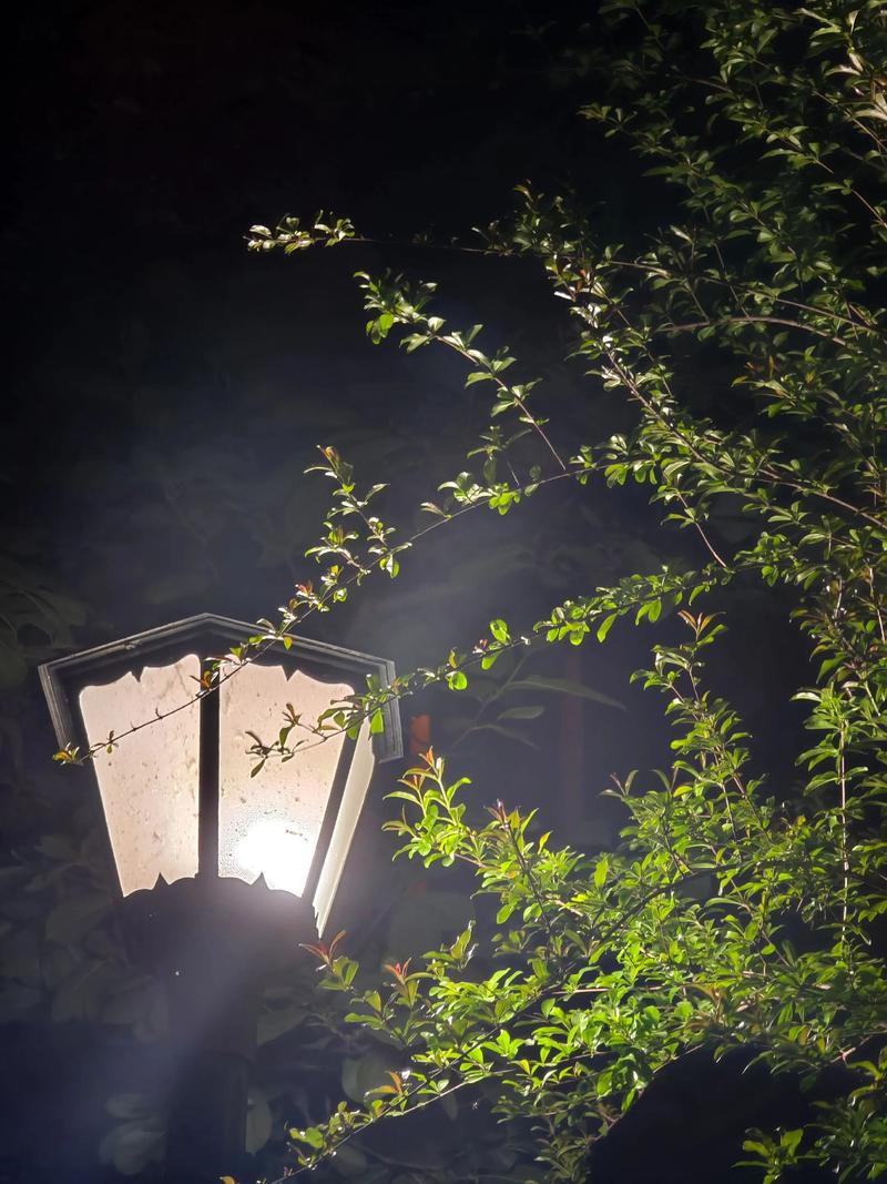 夜间图片风景图片 夜间图片风景图片