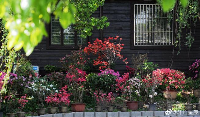 图片花草风景图片 图片花草风景图片