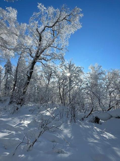 佳能6d拍雪景怎么设置