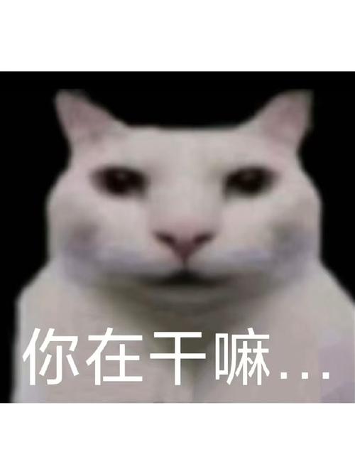 app是干嘛的截图2