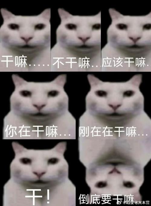 app是干嘛的截图3