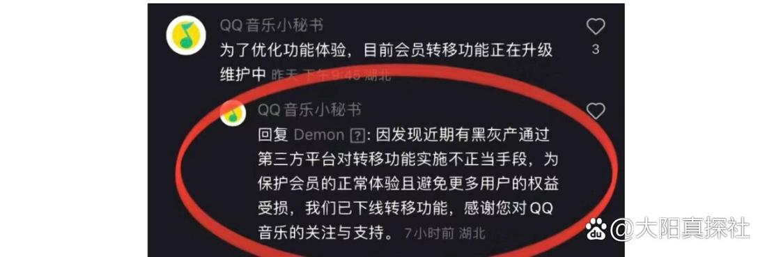 Qq音乐vip怎么送给好友截图3