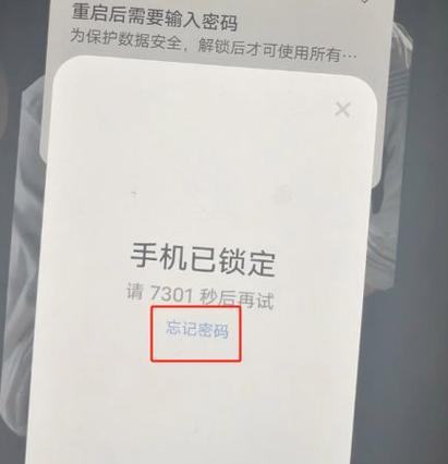 忘记密码刷机解屏幕锁教程截图3