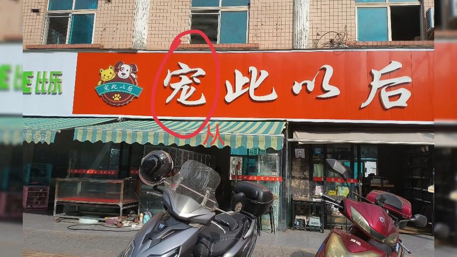 错别字专题训练50题