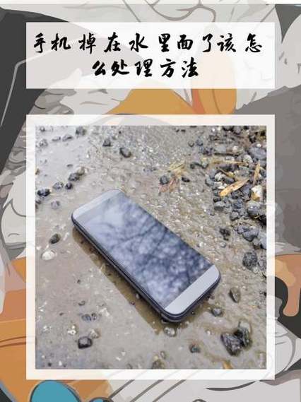 手机掉水里开不开机了咋办截图2