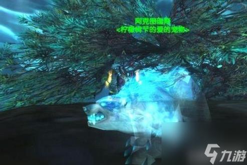 魔兽世界12.0猎人宠物推荐