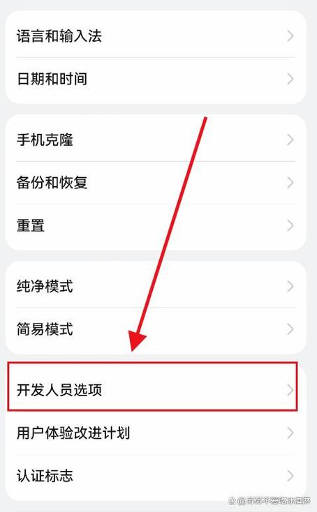 荣耀手机开发者模式在哪里