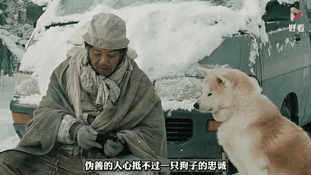 星守之犬国语版免费观看