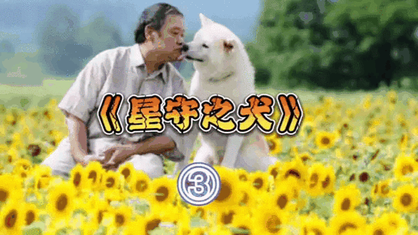 星守之犬国语版免费观看截图2