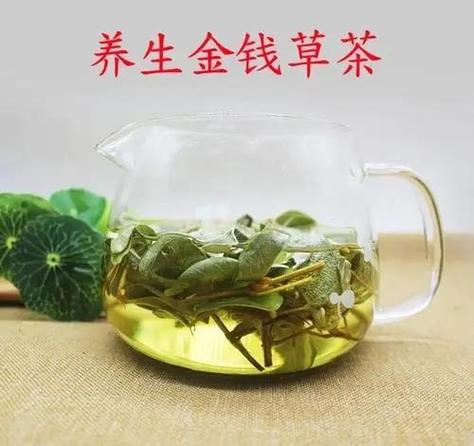 金钱草主治功能