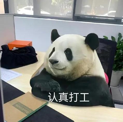 努力干活表情包
