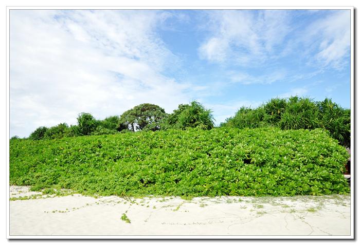 hyperisland超级岛模块