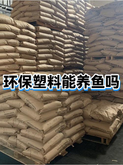塑料盒能养鱼吗小鱼缸养鱼