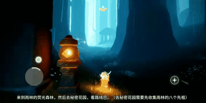 光遇荧光森林位置介绍
