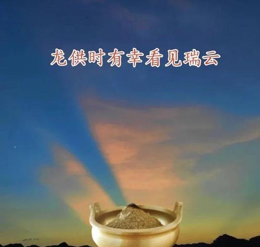龙供一般人供不起截图1