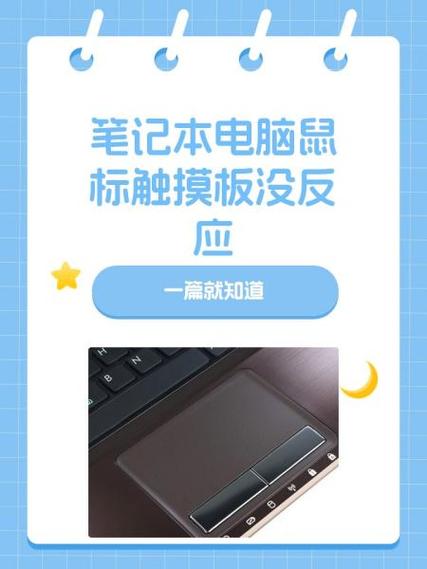鼠标没反应的原因分析