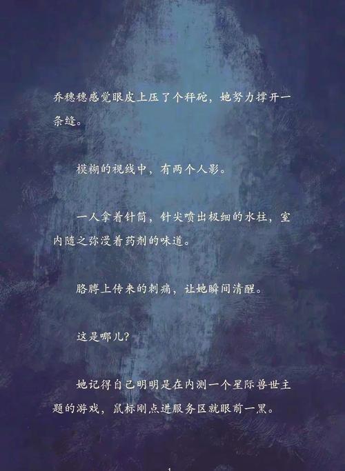 穿越到母畜合法世界小说