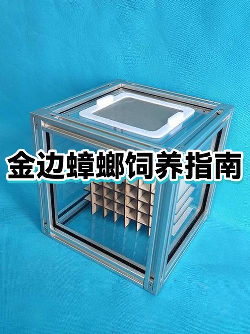 蟑螂好养吗