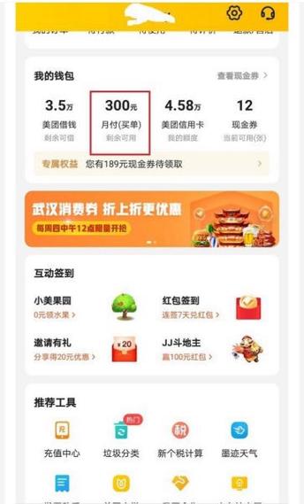 美团查看所有消费总额在哪里截图3