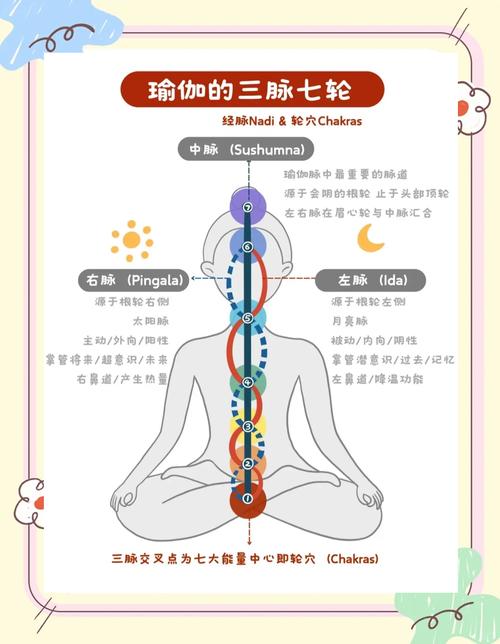 三神循环的三个步骤