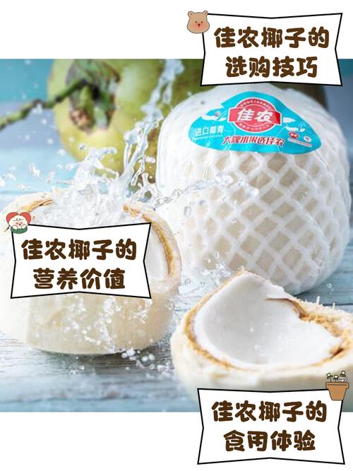 椰子在哪里批发最便宜
