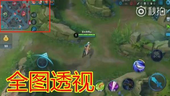王者插件透视截图3