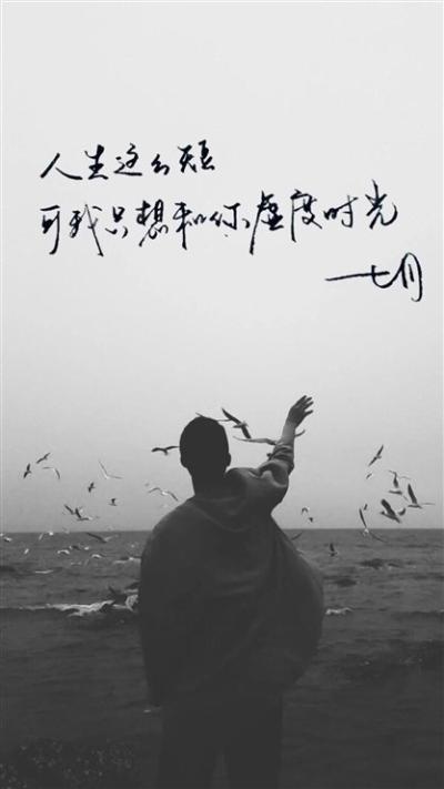 网图图片壁纸截图3