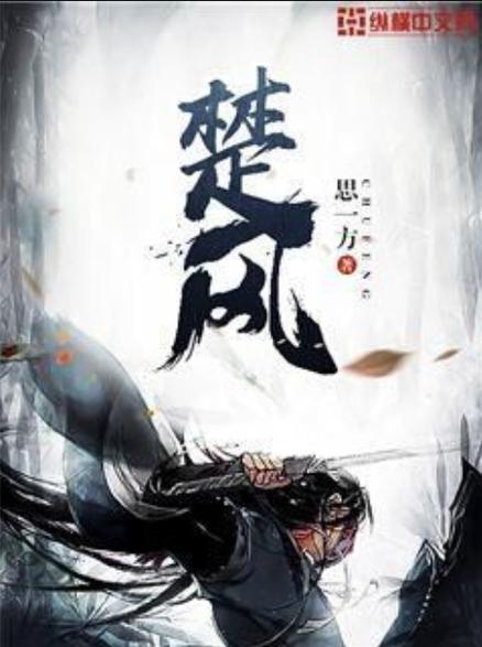 楚风一共几个孩子