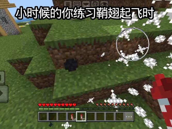 mc中用鞘翅飞行截图3