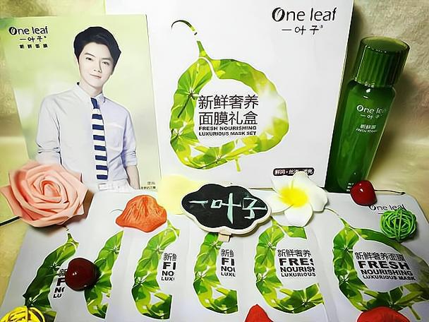 一叶子代理拿货价格图