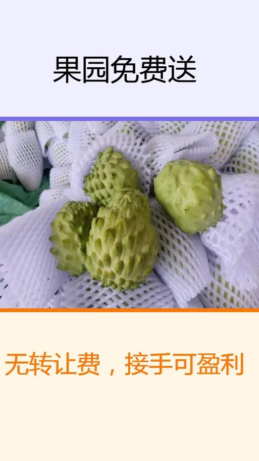 果园为什么转让
