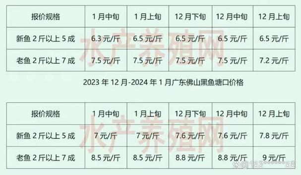 黑鱼多少钱一斤2026年价格截图1