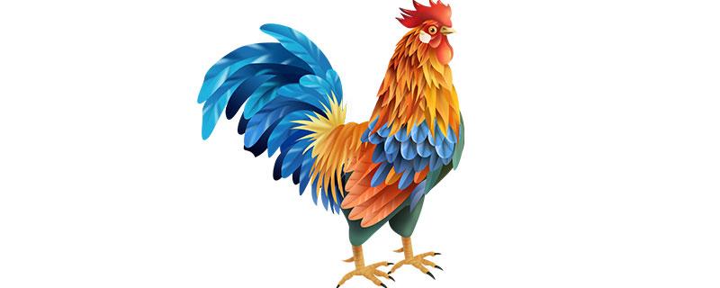 万紫千红开过什么生肖截图1
