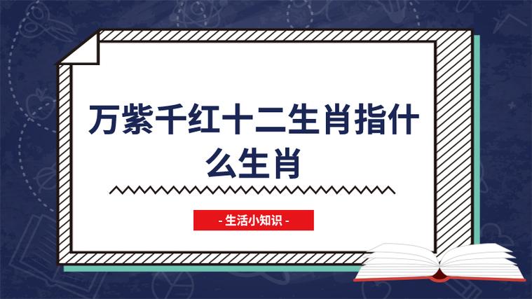 万紫千红开过什么生肖截图3