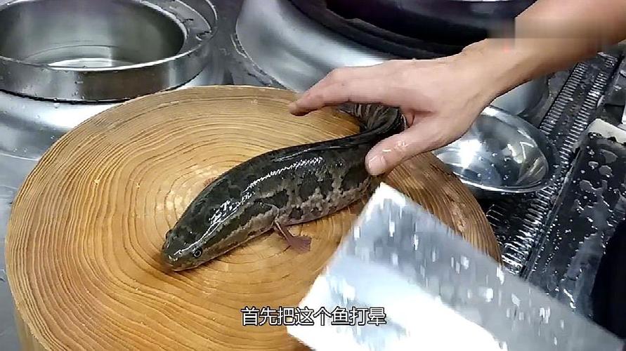 杀黑鱼最快的方法