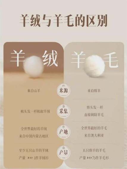 30羊毛和50羊毛区别