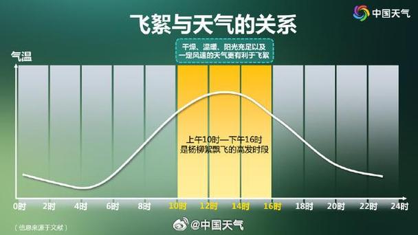 杨絮几月份开始几月份结束截图2
