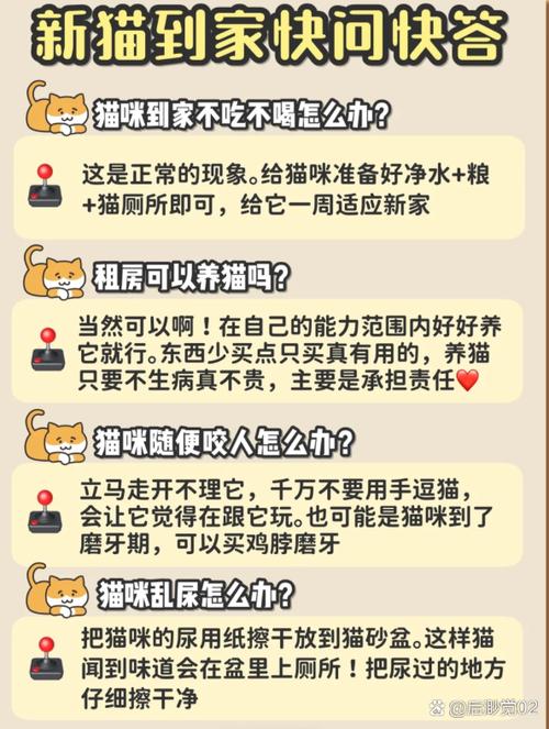 小猫新到家怎么处理