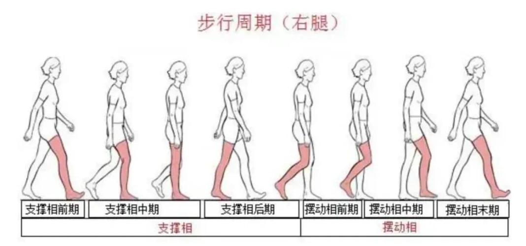 标准走路姿势示范图
