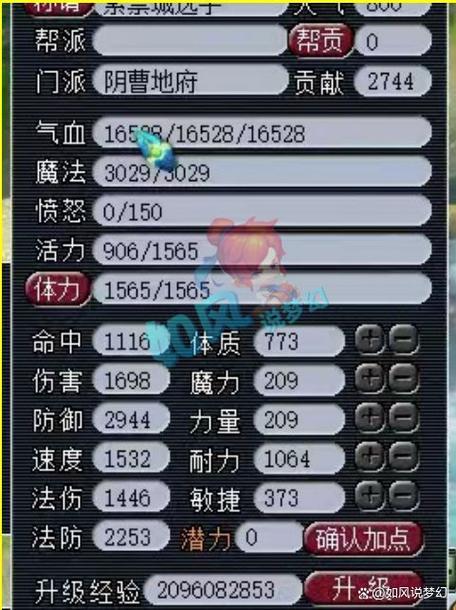 梦幻西游最新爆料消息