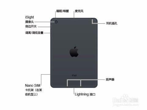 ipad按键音开启方法