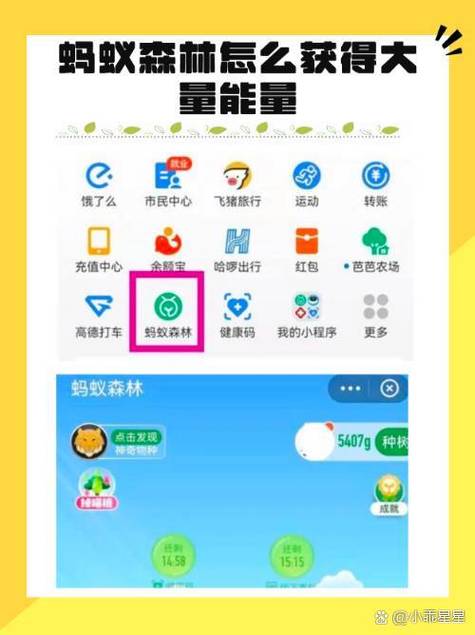 蚂蚁森林收能量时间截图1