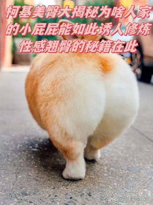 爱放屁是啥原因