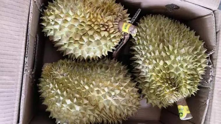 榴莲去哪里批发便宜截图2
