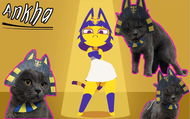 zone ankha 游戏介绍