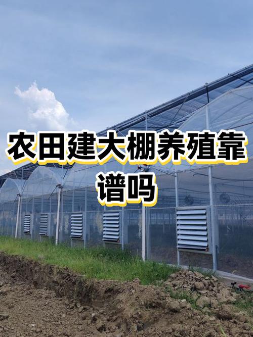 2026建大棚新政策