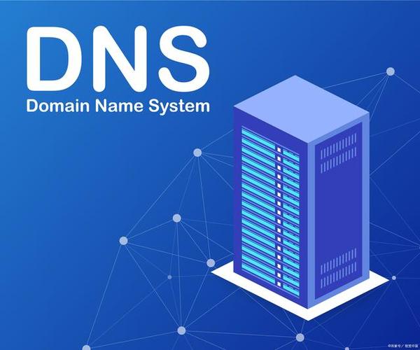 dns总是异常截图3