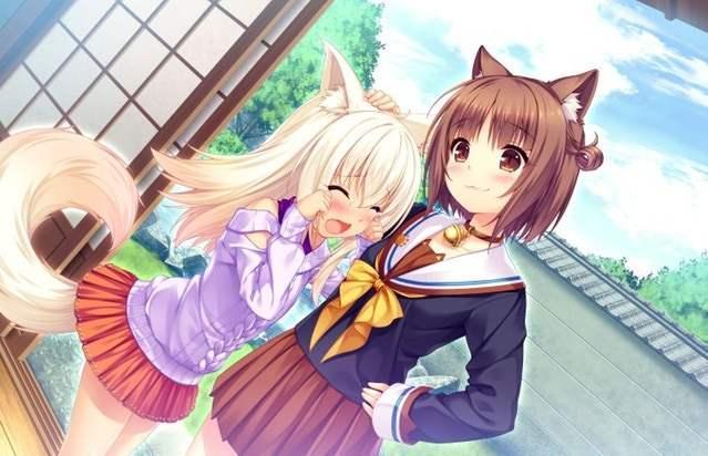 nekopara4全cg存档